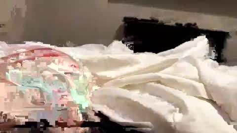 Snapshot of softslickandsweet chatting on 4, 2, 2025 softslickandsweet online show from 4, 2, 2025