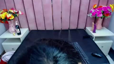 Snapshot of sophi_hardd chatting on 13, 12, 2024 sophi_hardd online show from 13, 12, 2024