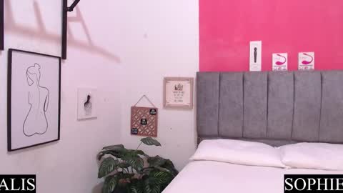 Snapshot of sophie_and_alis chatting on 30, 1, 2025 Sophie Alis online show from 30, 1, 2025