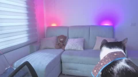 Sophie  online show from 25, 5, 2026