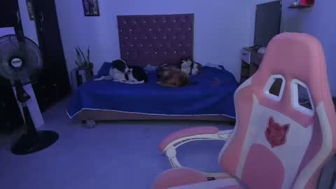 Snapshot of sophie_dolly_ chatting on 25, 6, 2026 sophie doll online show from 25, 6, 2026