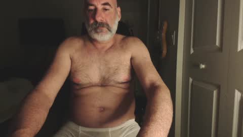 WhiteWolfFL online show from 28, 12, 2024