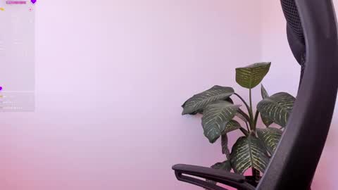 Sami Diaz   online show from 7, 1, 2025