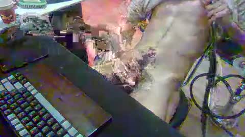 SPOKO online show from 22, 2, 2026