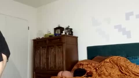 Snapshot of springs77 chatting on 8, 11, 2025 springs77 online show from 8, 11, 2025