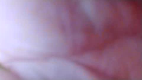 Snapshot of spun_horndaddy chatting on 4, 11, 2025 SpunSlut online show from 4, 11, 2025