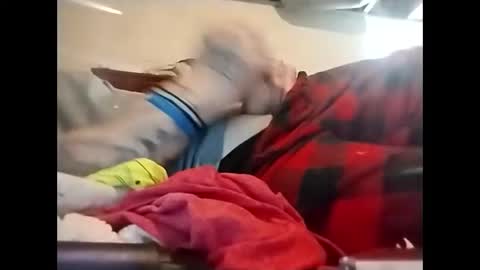 Snapshot of spundaddyandprincess chatting on 8, 12, 2024 spundaddyandprincess online show from 8, 12, 2024