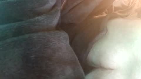 spunfuncumming online show from 19, 7, 2026
