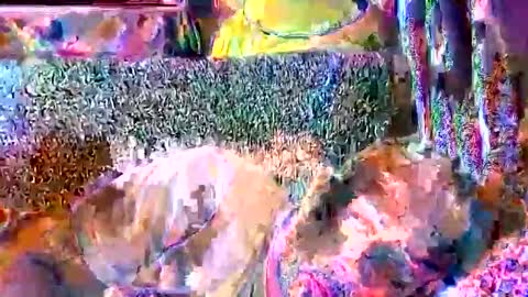 srekos38 online show from 11, 4, 2026