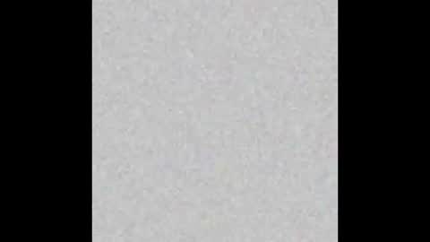 Srta. Fox online show from 23, 1, 2025