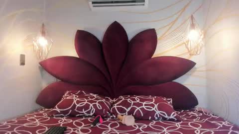 STAAR HOT online show from 19, 2, 2026