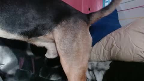 Sinserity online show from 2, 4, 2026