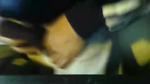 CIPPALIPPA online show from 2, 11, 2025