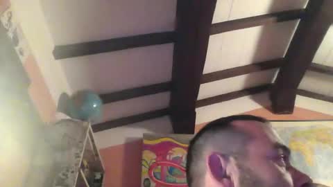 CIPPALIPPA online show from 18, 1, 2026