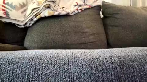 starr3095 online show from 4, 11, 2025