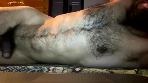 Lobo del Antiguo Oriente online show from 11, 4, 2026