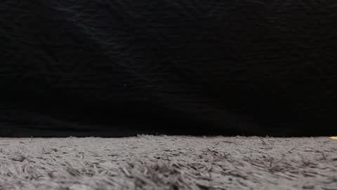 Stefany Brown online show from 21, 3, 2026