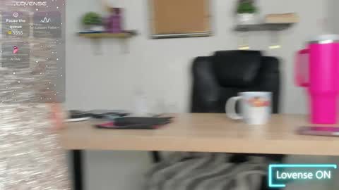 Stefy  online show from 9, 5, 2026