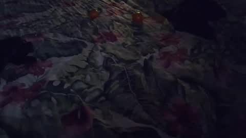 Rocco-load online show from 7, 1, 2025