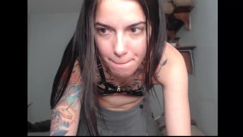 Stella online show from 17, 2, 2026