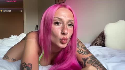 stellacorbet online show from 13, 6, 2026