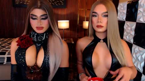 stellaperkins online show from 24, 5, 2026