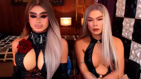 stellaperkins online show from 3, 6, 2026