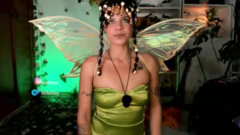 stellart_ online show from 1, 11, 2025