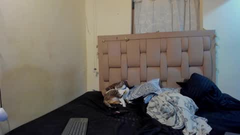 Stepcouple   online show from 7, 1, 2026