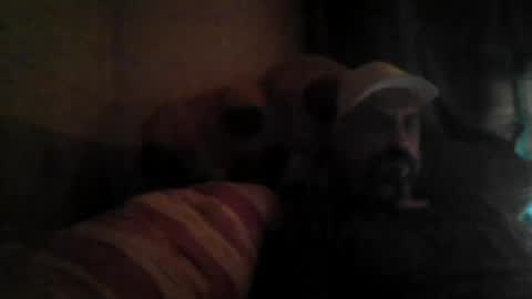 stephan6078 online show from 6, 8, 2026