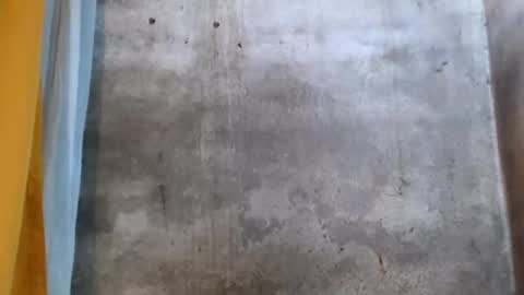 stephanie172 online show from 16, 1, 2026