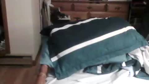 Ian23602 online show from 26, 12, 2024