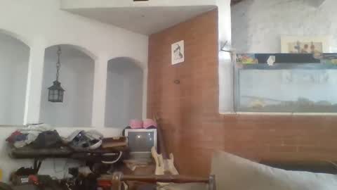 Snapshot of stevenson988 chatting on 15, 2, 2025 stevenson988 online show from 15, 2, 2025