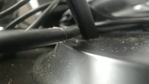 Stew Pididiot online show from 11, 9, 2025