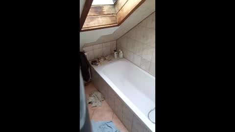 stiffler83pl online show from 16, 3, 2026