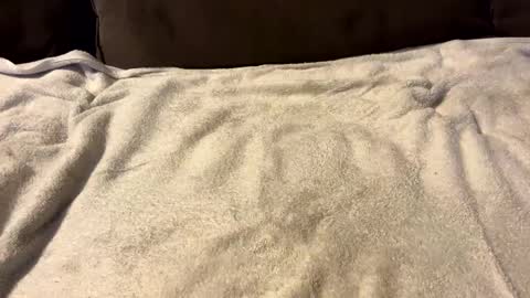 Snapshot of stiffrick682 chatting on 7, 1, 2025 stiffrick682 online show from 7, 1, 2025