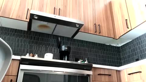 Snapshot of stlhotwifeguy chatting on 14, 2, 2025 stlhotwifeguy online show from 14, 2, 2025