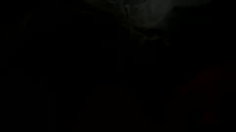 stockungs online show from 14, 2, 2025