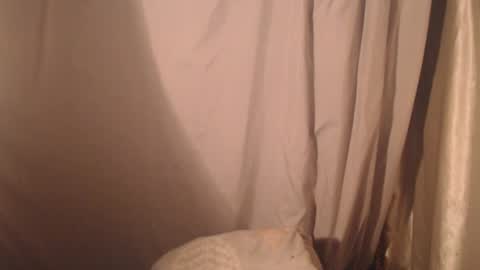 stonenipple online show from 28, 10, 2025