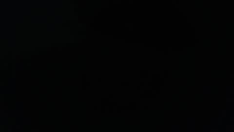 stonenipple online show from 21, 2, 2026