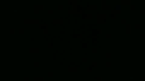 strangerdanger_2 online show from 10, 4, 2026