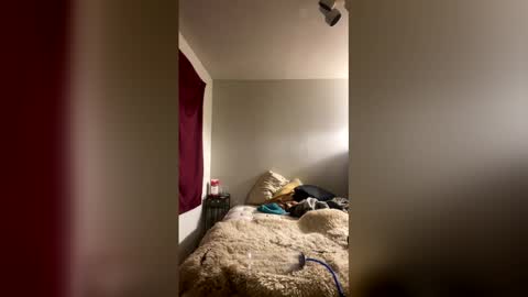 Stag online show from 10, 1, 2026