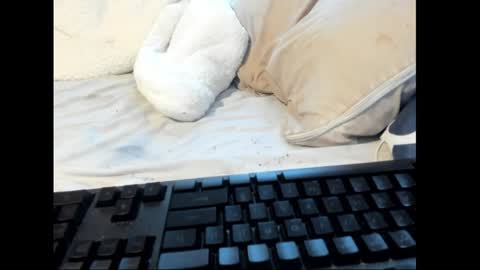 strawboy300 online show from 26, 1, 2025