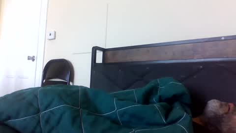 Snapshot of strictdaddy13 chatting on 21, 2, 2025 strictdaddy13 online show from 21, 2, 2025