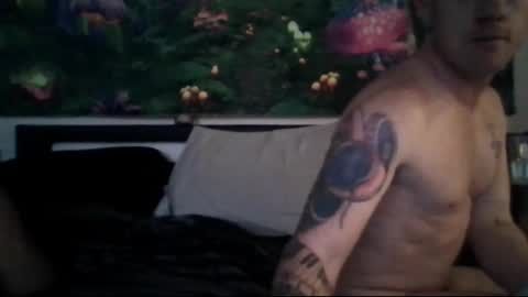 Snapshot of sty57039 chatting on 24, 2, 2025 Stycock88 online show from 24, 2, 2025