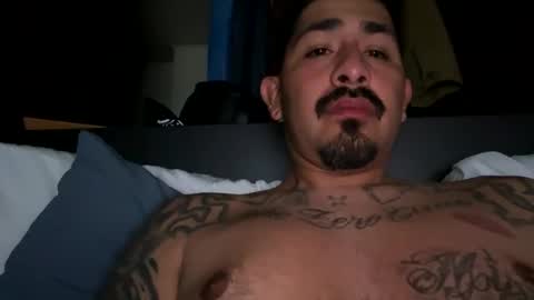 stylezg805 online show from 18, 3, 2026