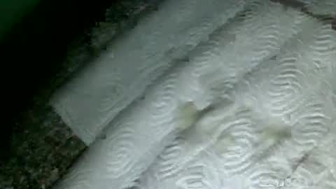 Martin sweetboy online show from 18, 2, 2025