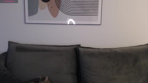 Liby online show from 3, 4, 2026