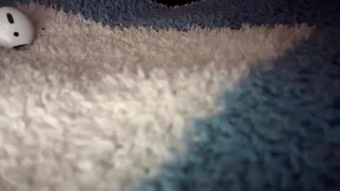 Snapshot of sunflowerxo chatting on 9, 9, 2025 Sofie online show from 9, 9, 2025