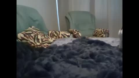 Snapshot of suni_bitch chatting on 7, 3, 2025 suni online show from 7, 3, 2025